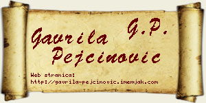 Gavrila Pejčinović vizit kartica